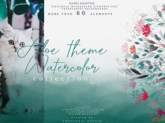 64幅芦荟主题水彩插图集Aloe theme Watercolor Collection