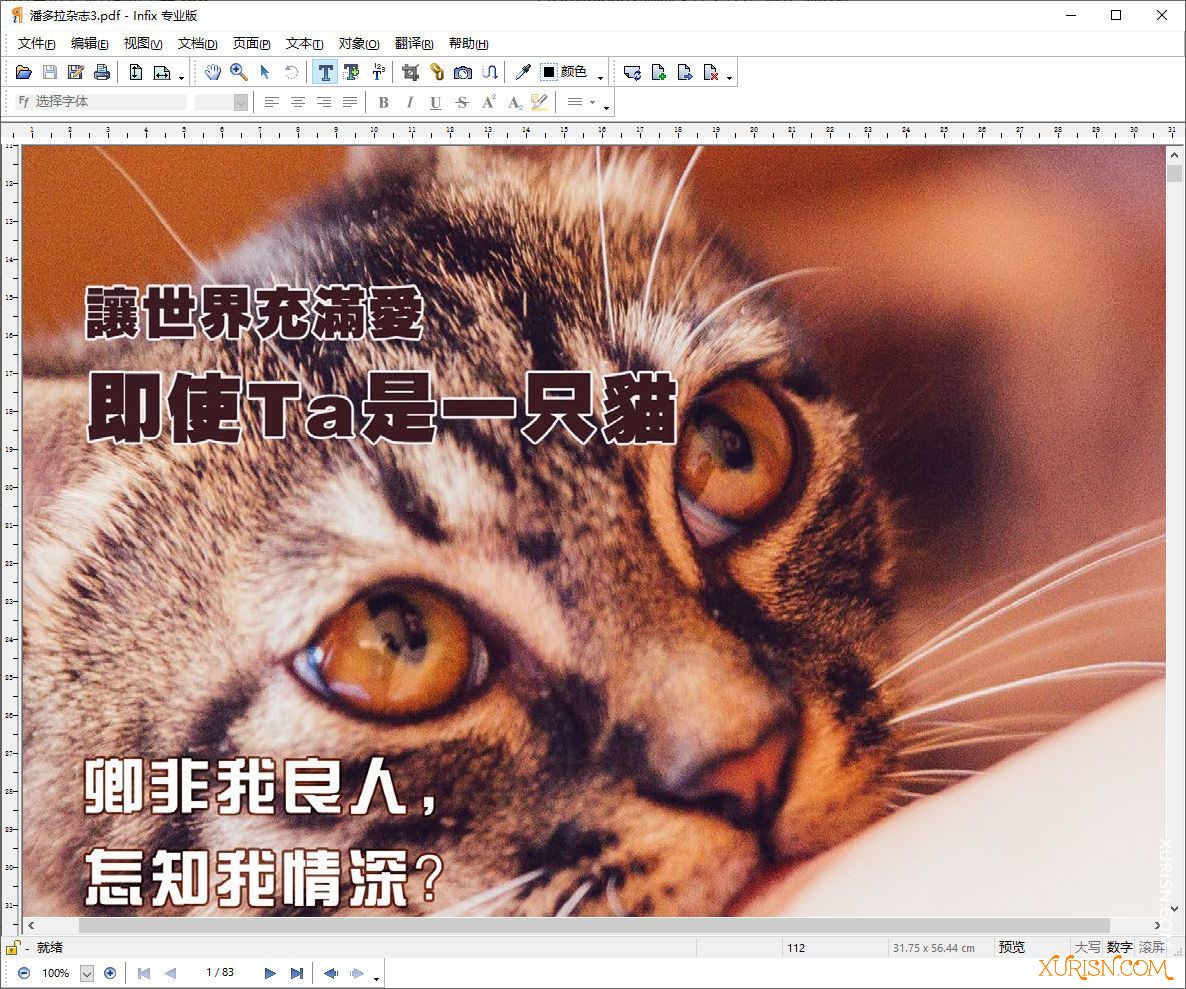 专业PDF编辑器InfixPro PDF Editor 7.6.9中文版