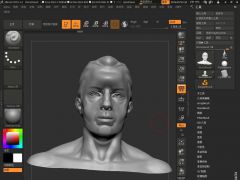 3D数字雕刻建模软件Pixologic ZBrush v2019.1.2 中文版