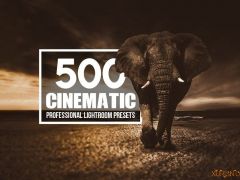 500个高级Lightroom预设Cinematic - 500 Lightroom Presets