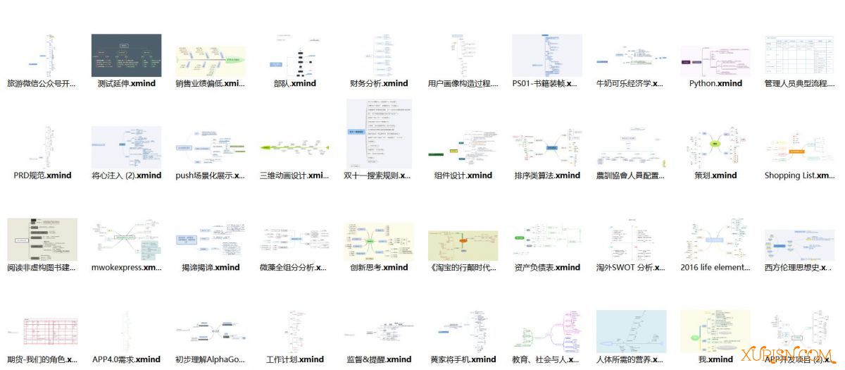 办公素材-500套xmind思维导图模板+素材(4)