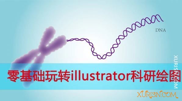 平面教程-零基础玩转illustrator科研绘图 视频教程（完结）(1)