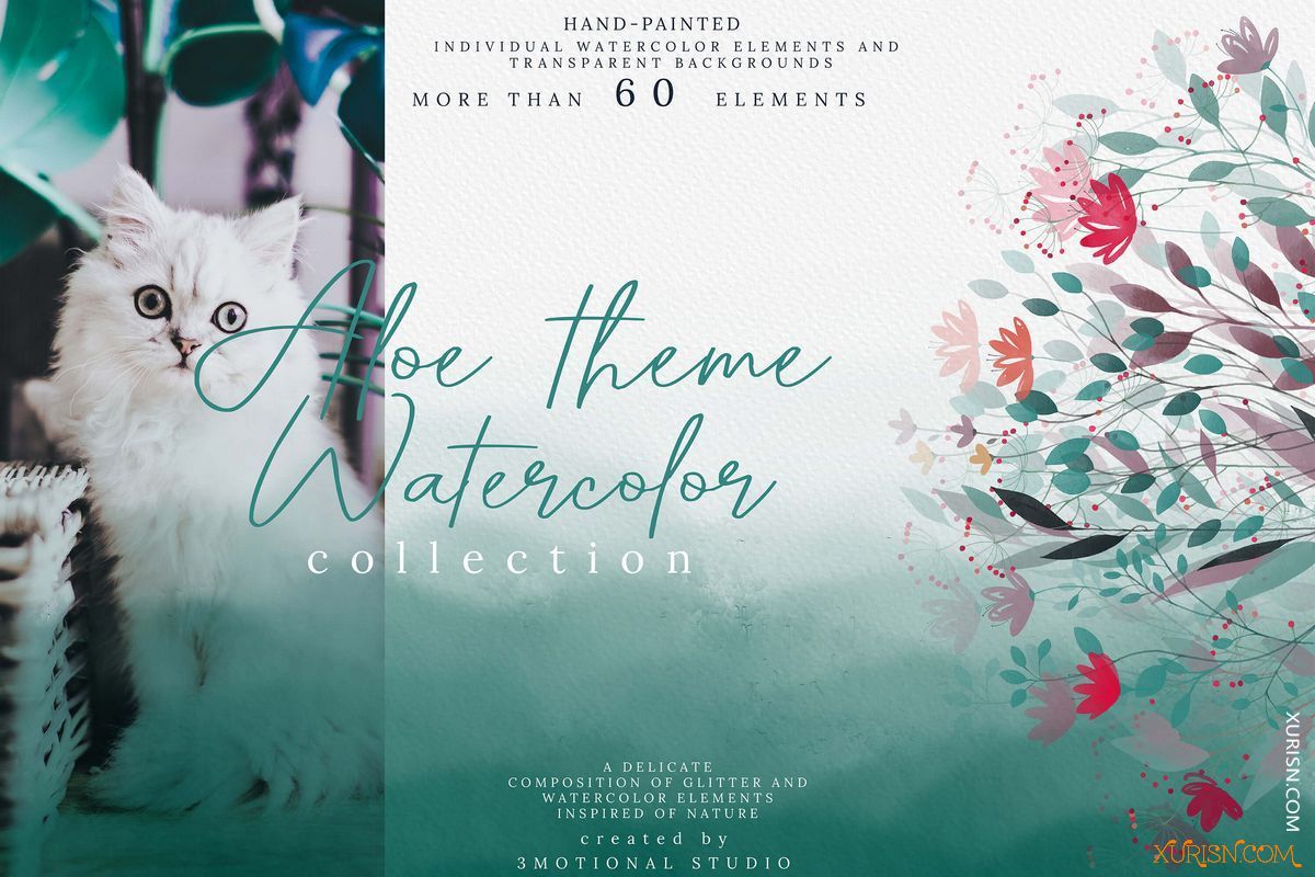 平面素材-64幅芦荟主题水彩插图集Aloe theme Watercolor Collection(1)