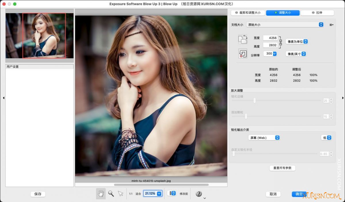 软件插件-PS放大滤镜Alien Skin Exposure Software Blow Up 3 3.1.4.402中文汉化版Mac(3)