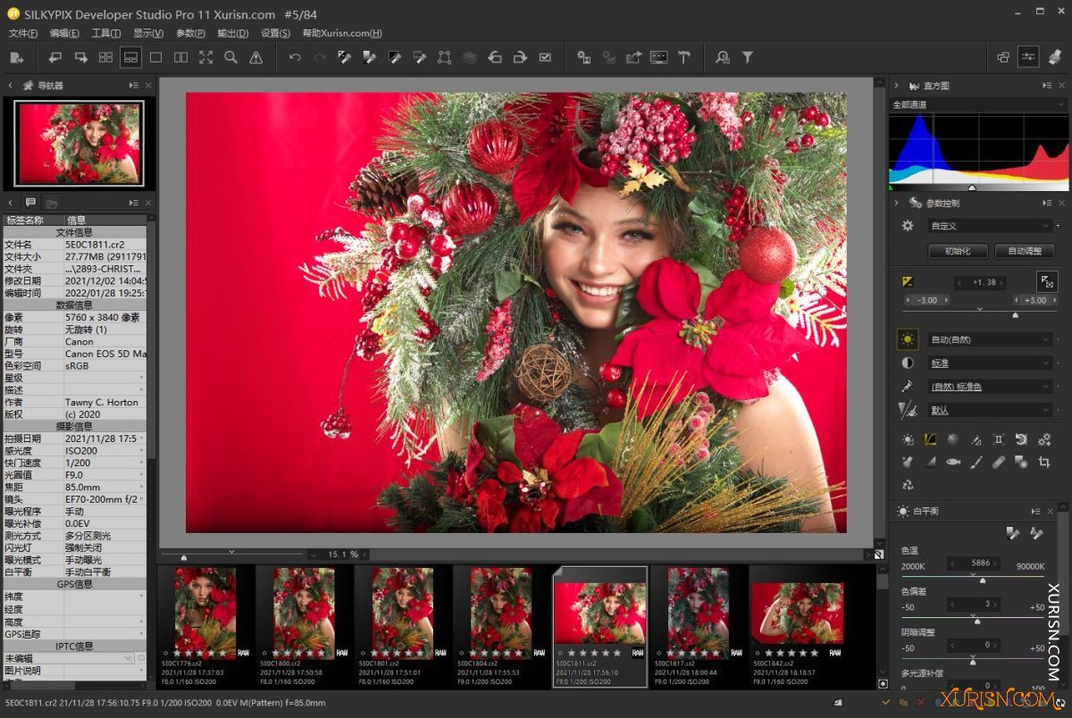 软件下载-RAW照片处理神器SILKYPIX Developer Studio Pro 11.0.16.0 x64 中文汉化版(3)