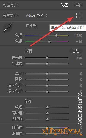 动作预设-Digital Camera Profile (数码照相机配置文件)(3)