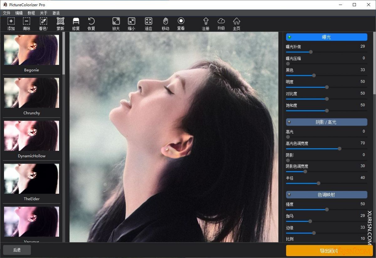 软件下载-Picture Colorizer Pro 3.1.0中文汉化版|黑白照片智能一键上色软件(3)