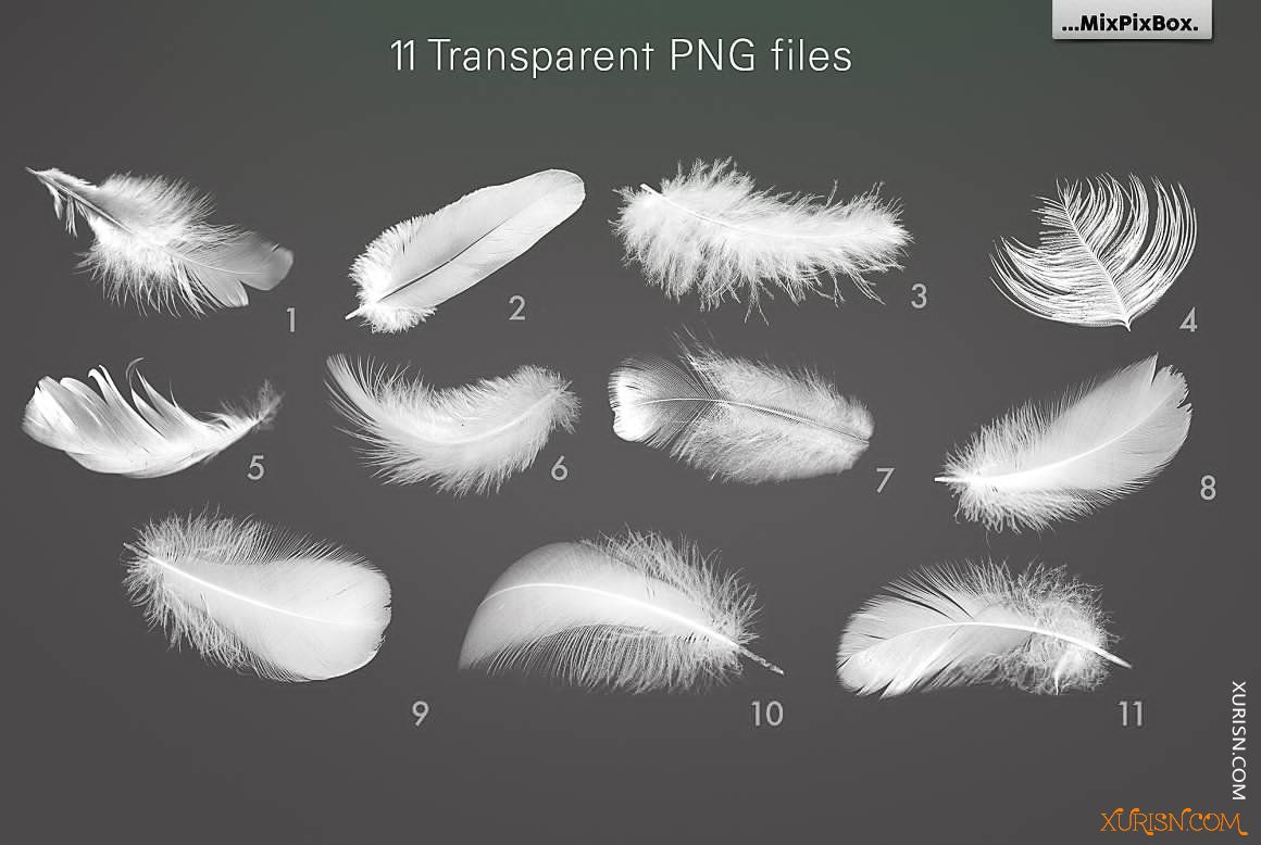 平面素材-29张高分辨率白色羽毛透明PNG照片叠加素材(6)