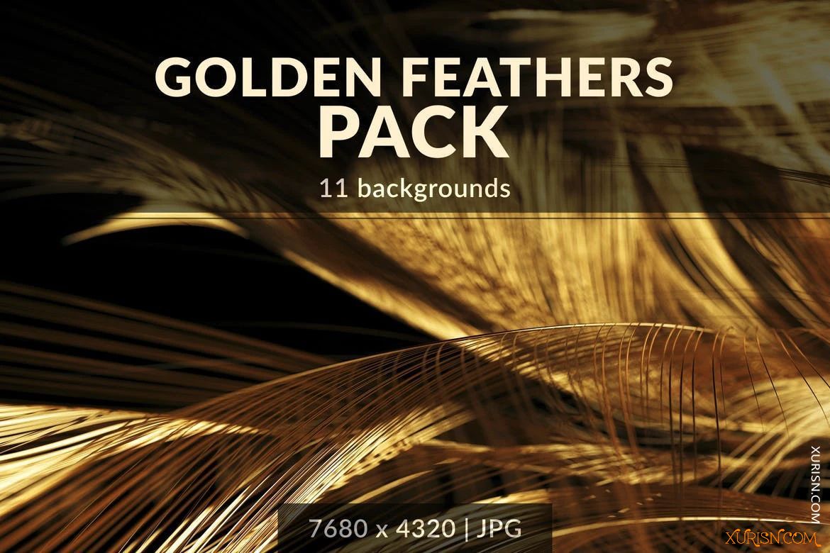 平面素材-11张超清金色羽毛背景图片包Golden Feathers Backgrounds Pack(3)