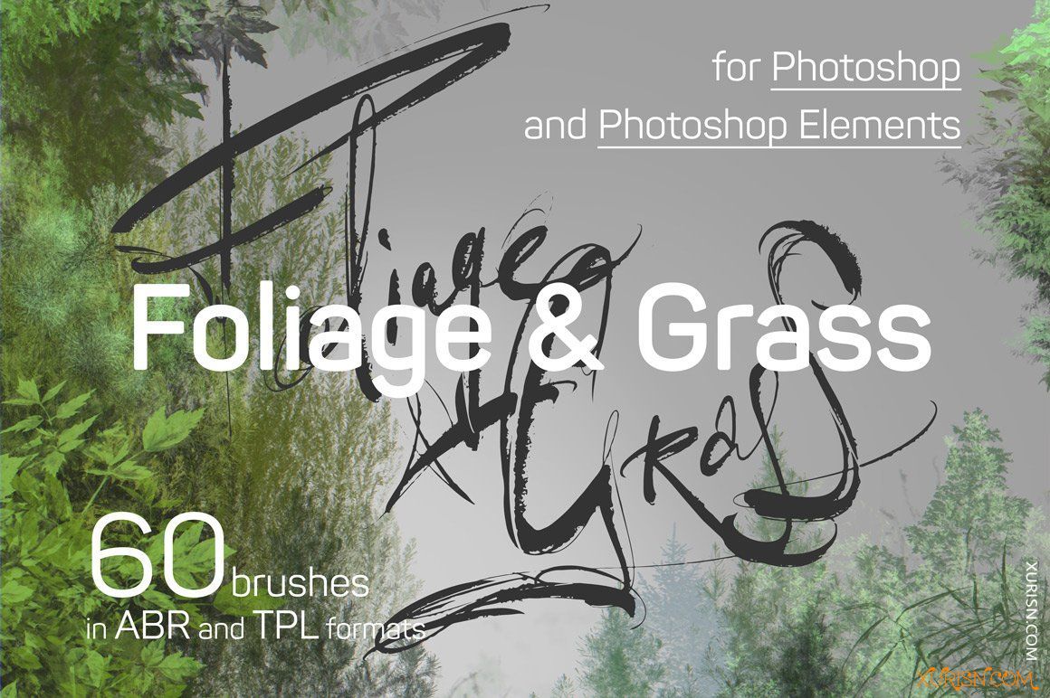 动作预设-60款高清逼真树叶小草PS画笔及工具预设集Foliage & Grass brushes(3)