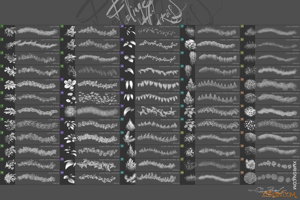 动作预设-60款高清逼真树叶小草PS画笔及工具预设集Foliage & Grass brushes(6)
