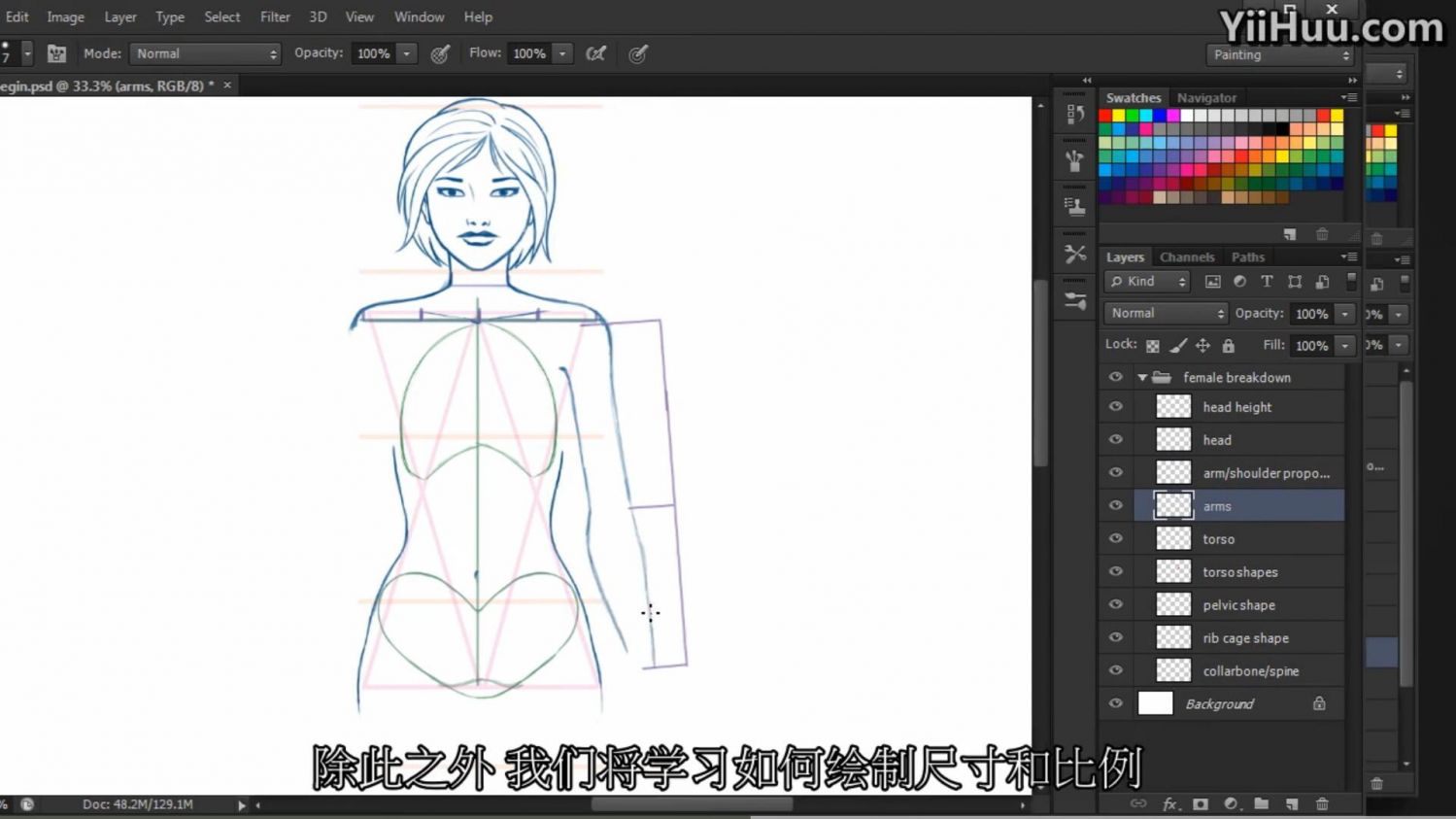 影视后期-Photoshop绘画女性身体比例和表面解剖学-DT出品-（中文字幕）(2)