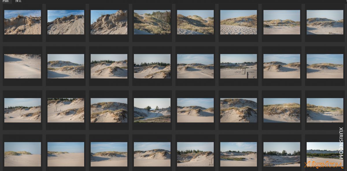 平面素材-沙漠之地 Coastal Dunes [308P/1.09G](5)