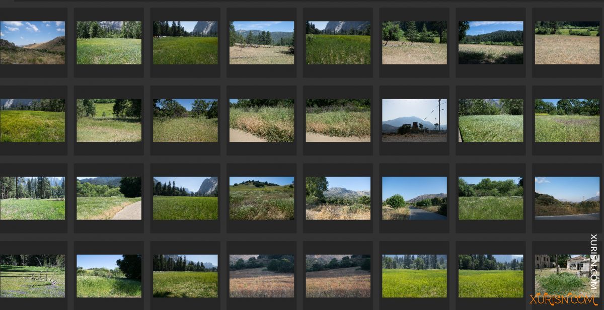 平面素材-大片草地 grass photo pack [100P/1.65G](7)