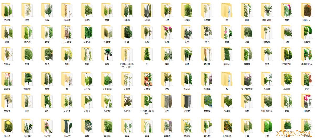 平面素材-582种植物免扣素材PNG [5935P/7.75G](9)