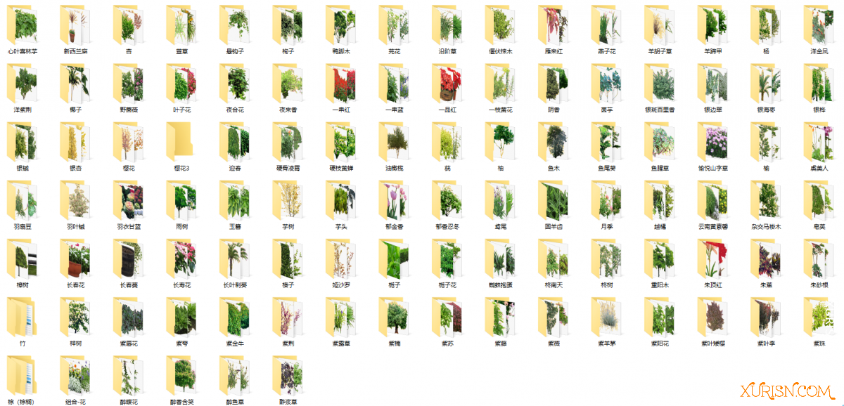 平面素材-582种植物免扣素材PNG [5935P/7.75G](10)