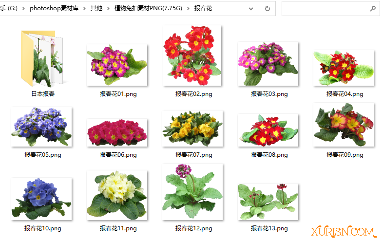 平面素材-582种植物免扣素材PNG [5935P/7.75G](12)