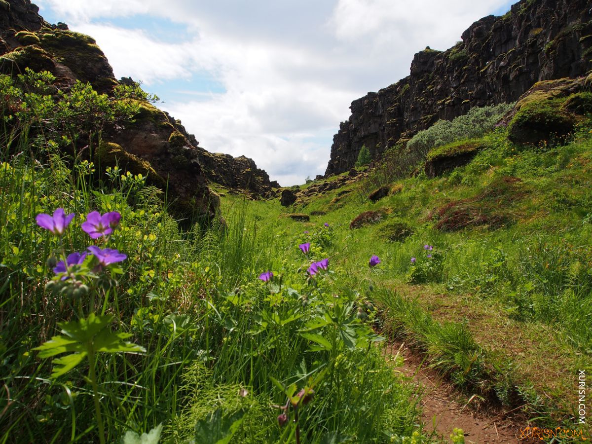 平面素材-绿山 Iceland - photo reference pack [386P/1.66G](3)