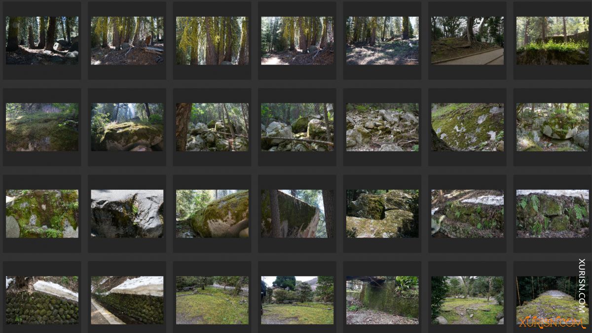 平面素材-青苔建筑 moss photo pack [100P/1.64G](5)