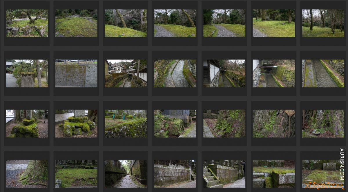 平面素材-青苔建筑 moss photo pack [100P/1.64G](6)