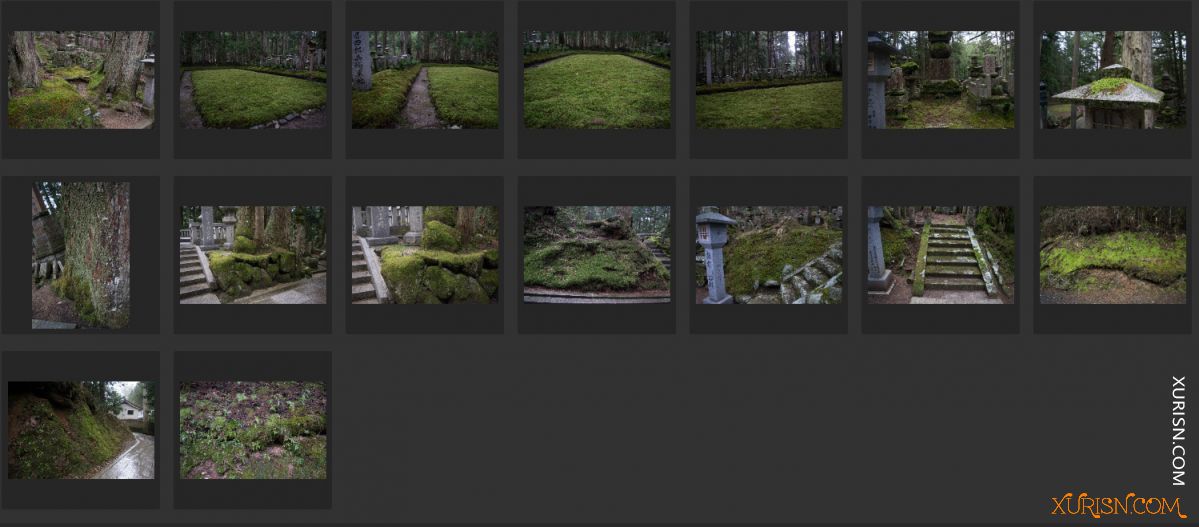 平面素材-青苔建筑 moss photo pack [100P/1.64G](7)