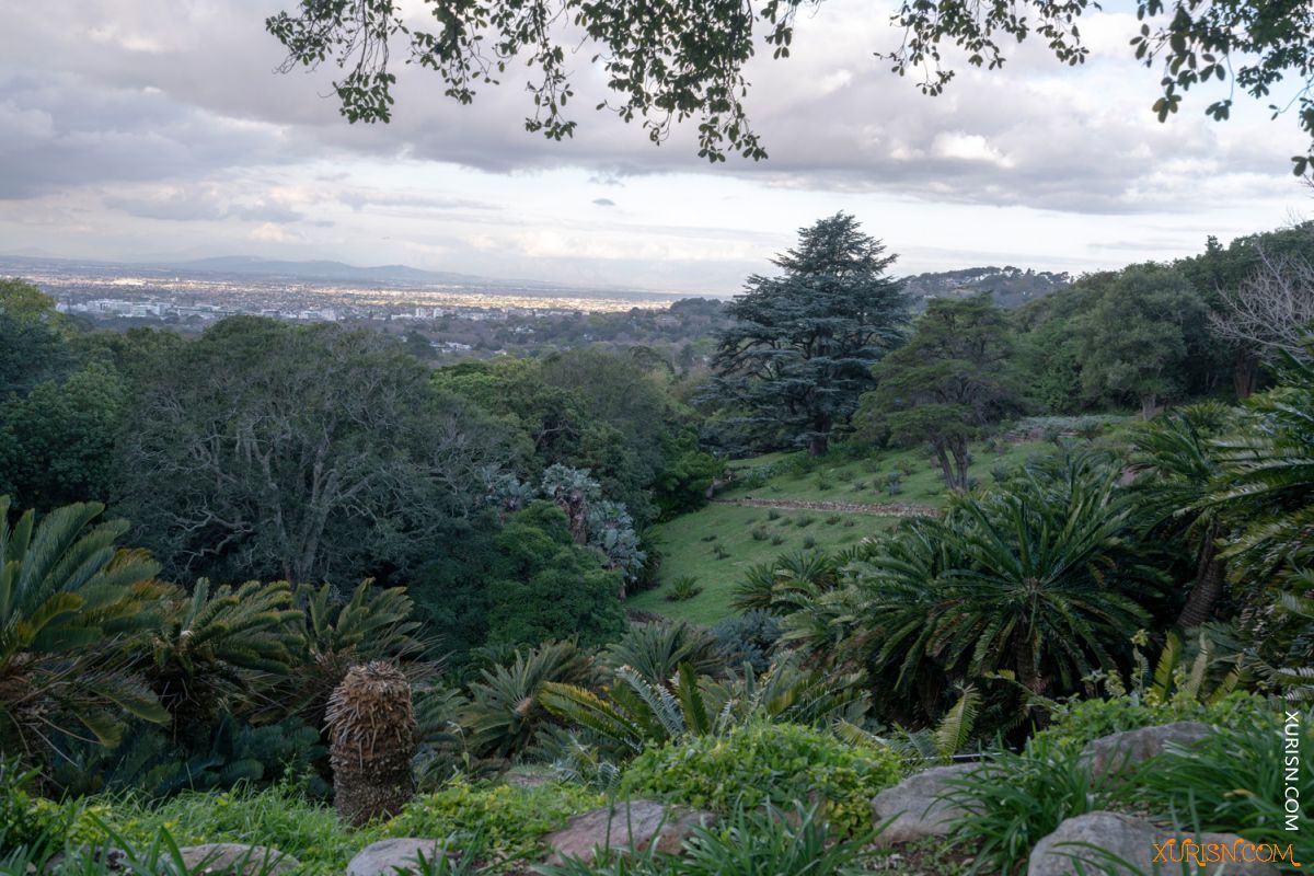 平面素材-园林风景 Prehistoric Garden [154P/1.5G](3)