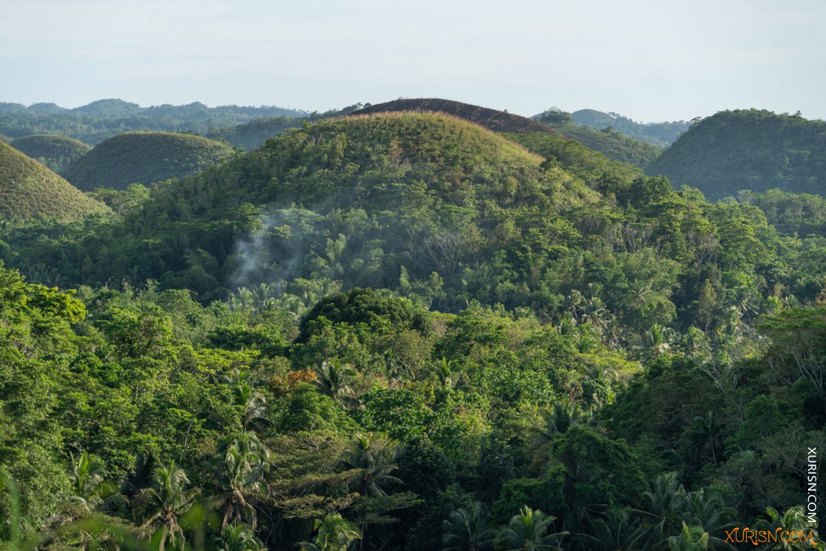 平面素材-绿色俯瞰山林 Tropical Hills [118P/1.25G](3)