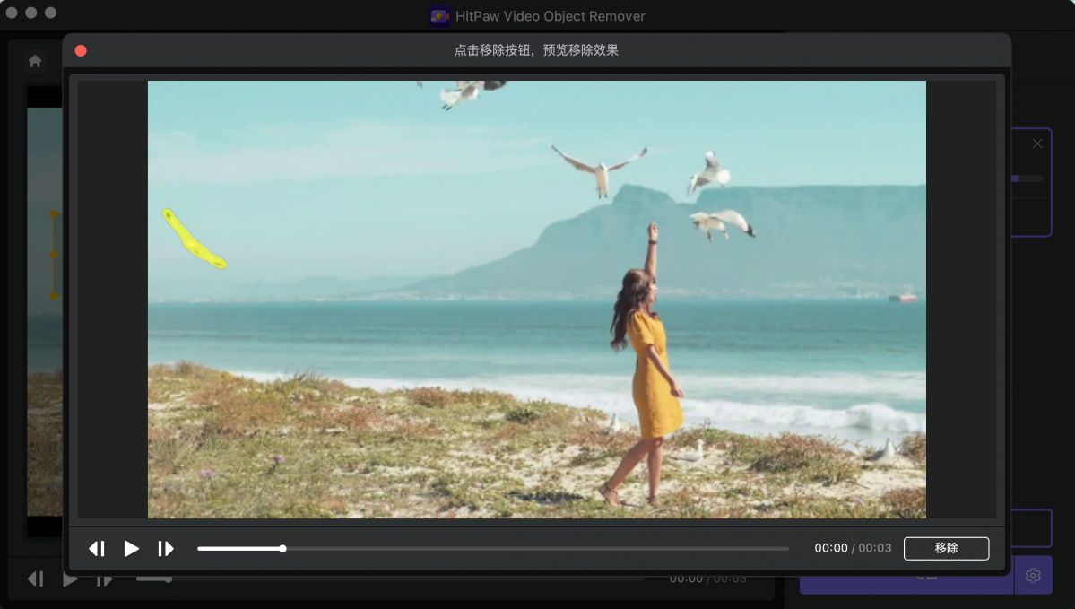 VIP资源-HitPaw Video Object Remover for mac 视频AI去水印背景V1.2.0 中文版(3)