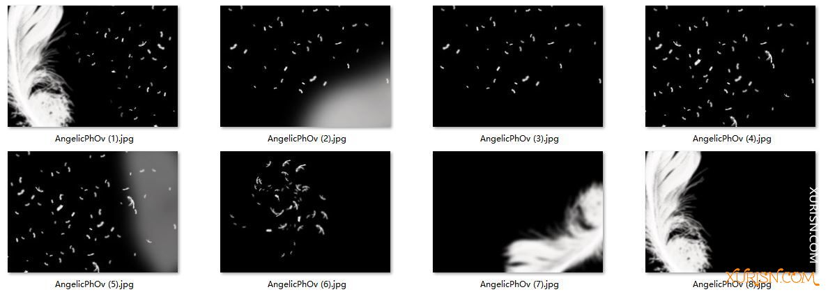 平面素材-8张白色天使羽毛飘落照片合成叠加素材(4)