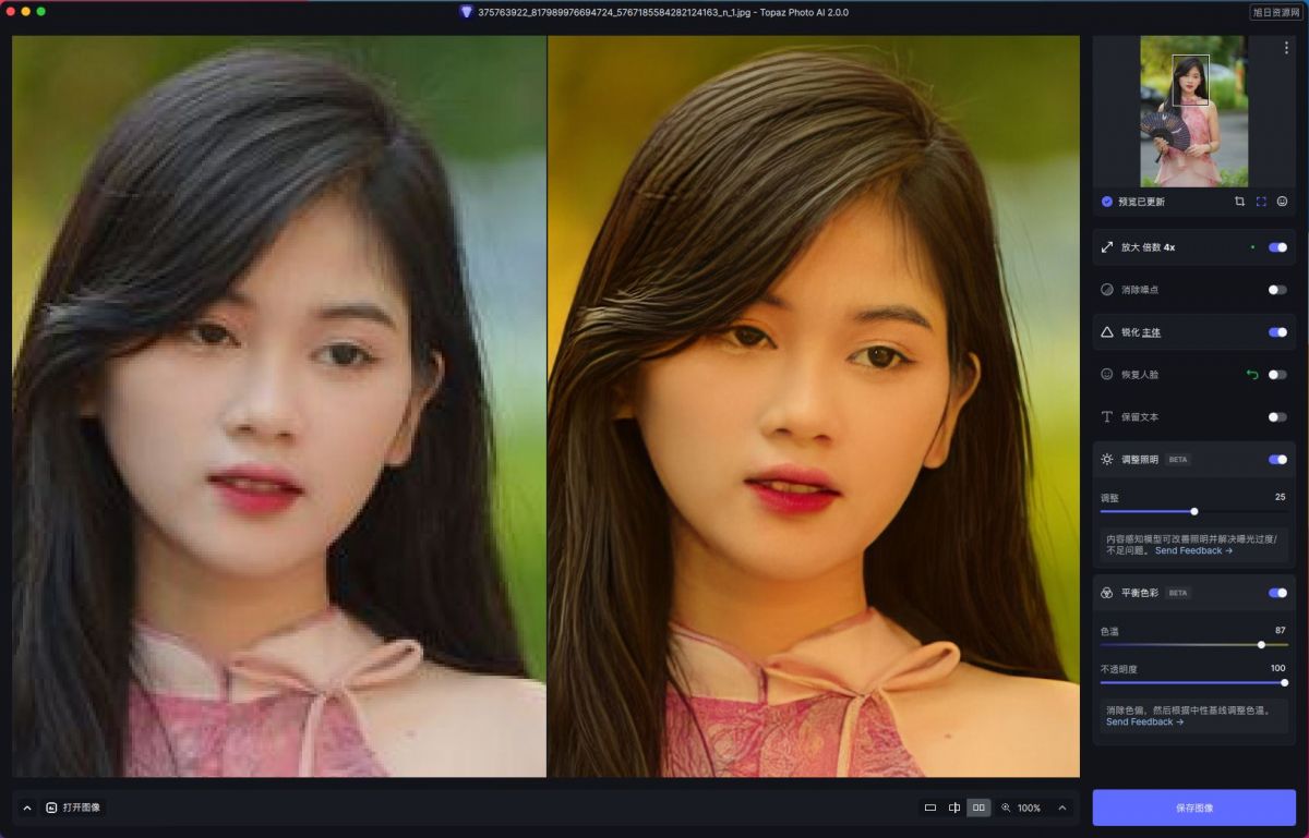 VIP资源-Topaz photo AI 2.0.3 for mac 中文汉化版(1)