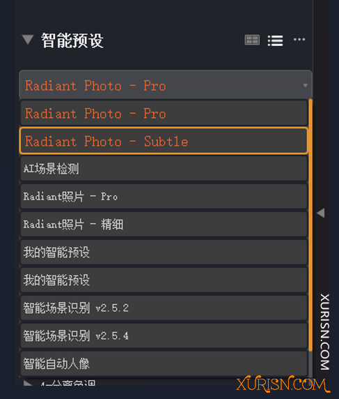 软件下载-AI智能完美照片处理Radiant Photo 2.0.0.539 WIN x64 中文版(1)