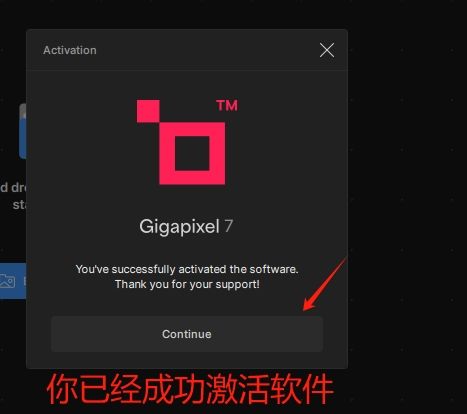 VIP资源-Topaz Gigapixel AI 7.3.2 Windows 英文版(3)