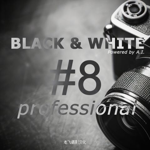 VIP资源-高级黑白修饰软件Franzis BLACK & WHITE Pro 8.25.04078中文修正版(3)