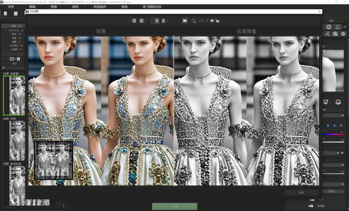 VIP资源-高级黑白修饰软件Franzis BLACK & WHITE Pro 8.25.04078中文修正版(4)