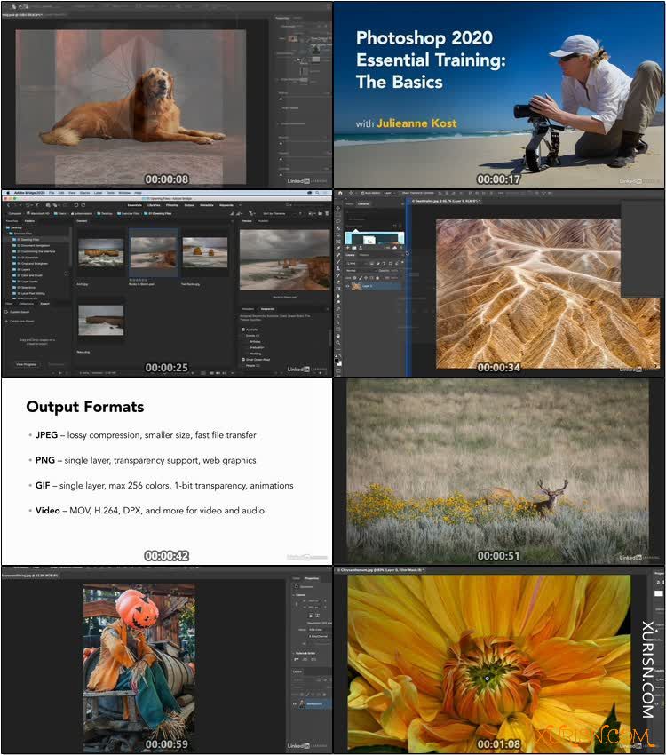 平面教程-Photoshop 2020 基础培训视频教程Lynda - Photoshop 2020 Essential Training(3)