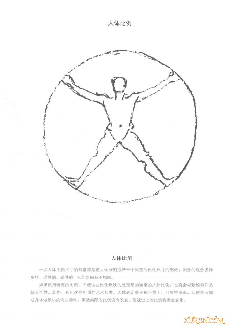 伯里曼人体结构绘画教学_页面_015.jpg