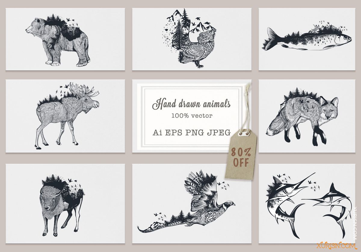 矢量图形-10款艺术矢量手绘动物图形集Bundle Artistic Vector Hand Drawn Animal(22)