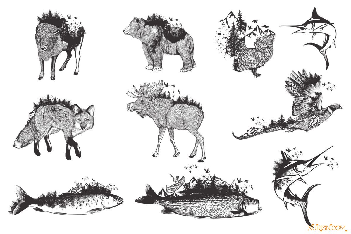 矢量图形-10款艺术矢量手绘动物图形集Bundle Artistic Vector Hand Drawn Animal(23)