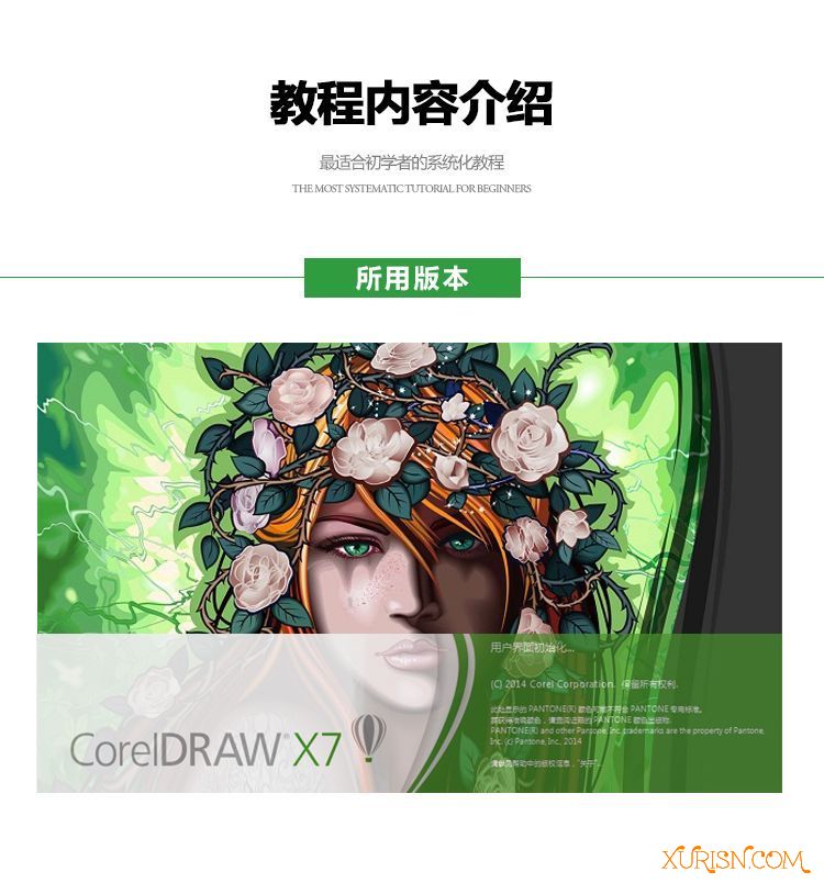 平面教程-云端网校CorelDRAW教程 CDR X7基础入门到精通教程 海报广告制...(19)