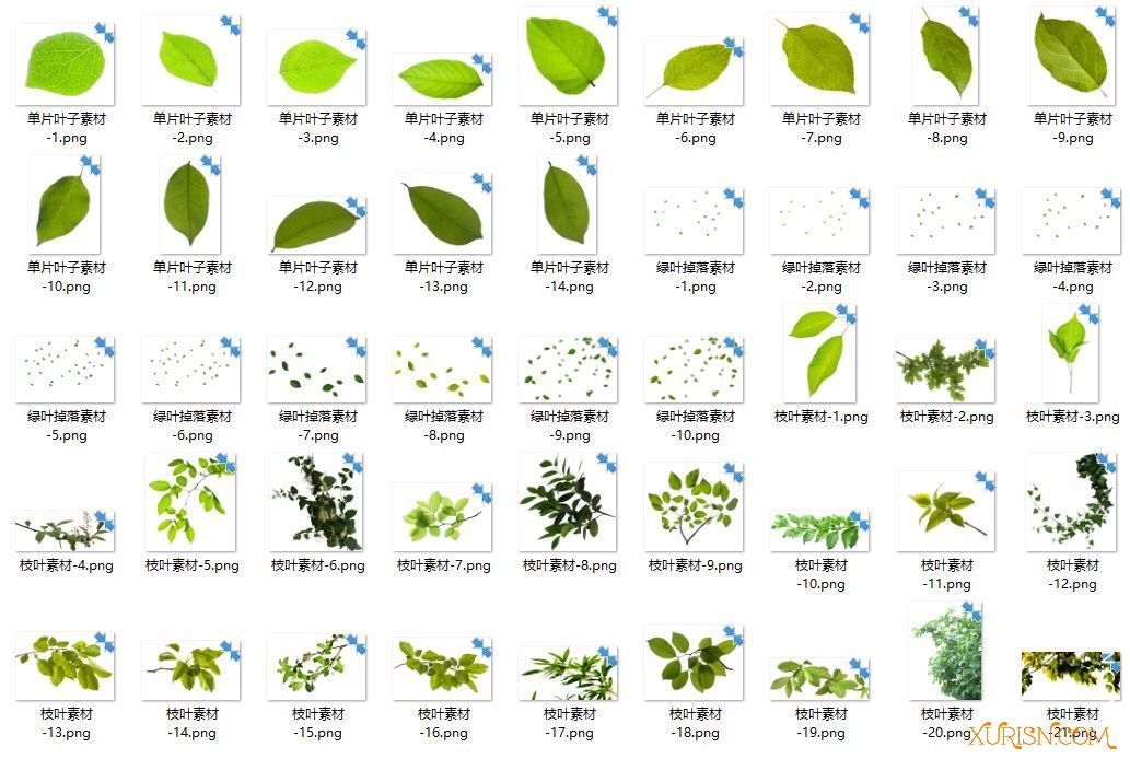 平面素材-160P 植物绿叶单叶枝叶落叶前景PNG免抠素材(5)