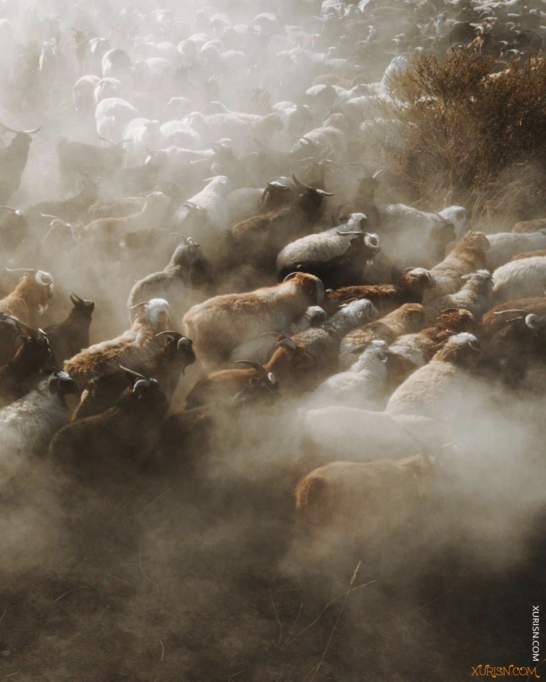 摄影教程-Max Muench风光摄影大师课(7)