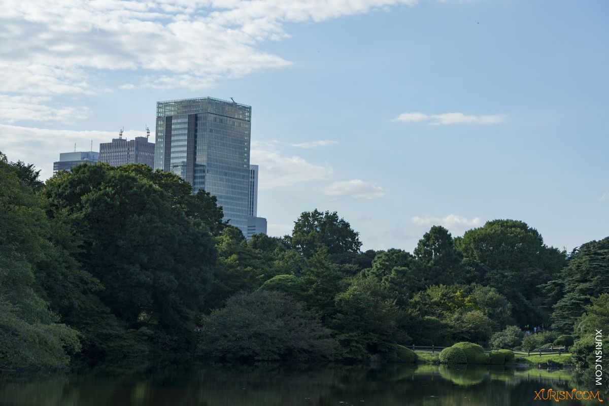 平面素材-136张高清日本东京新宿御苑公园参考图片集PARKS & GARDENS(15)