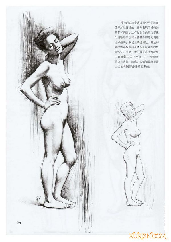 原画绘画教程-女人体素描(意大利乔瓦尼·席瓦尔第经典素描训练教程) PDF(6)