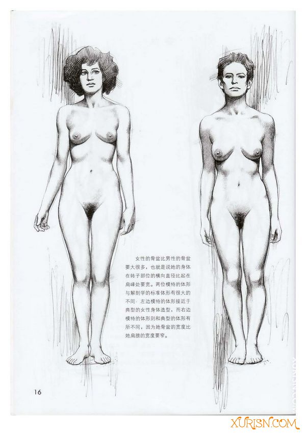 原画绘画教程-女人体素描(意大利乔瓦尼·席瓦尔第经典素描训练教程) PDF(4)