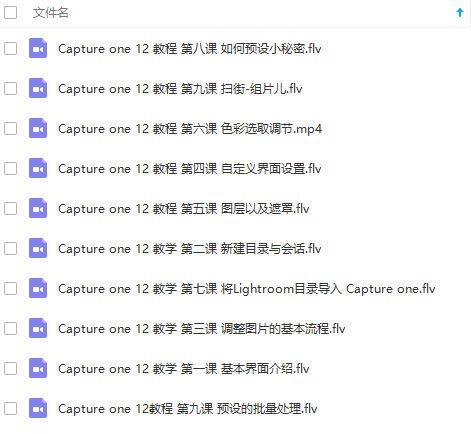 软件教程-Capture one 12 中文视频教学教程(2)