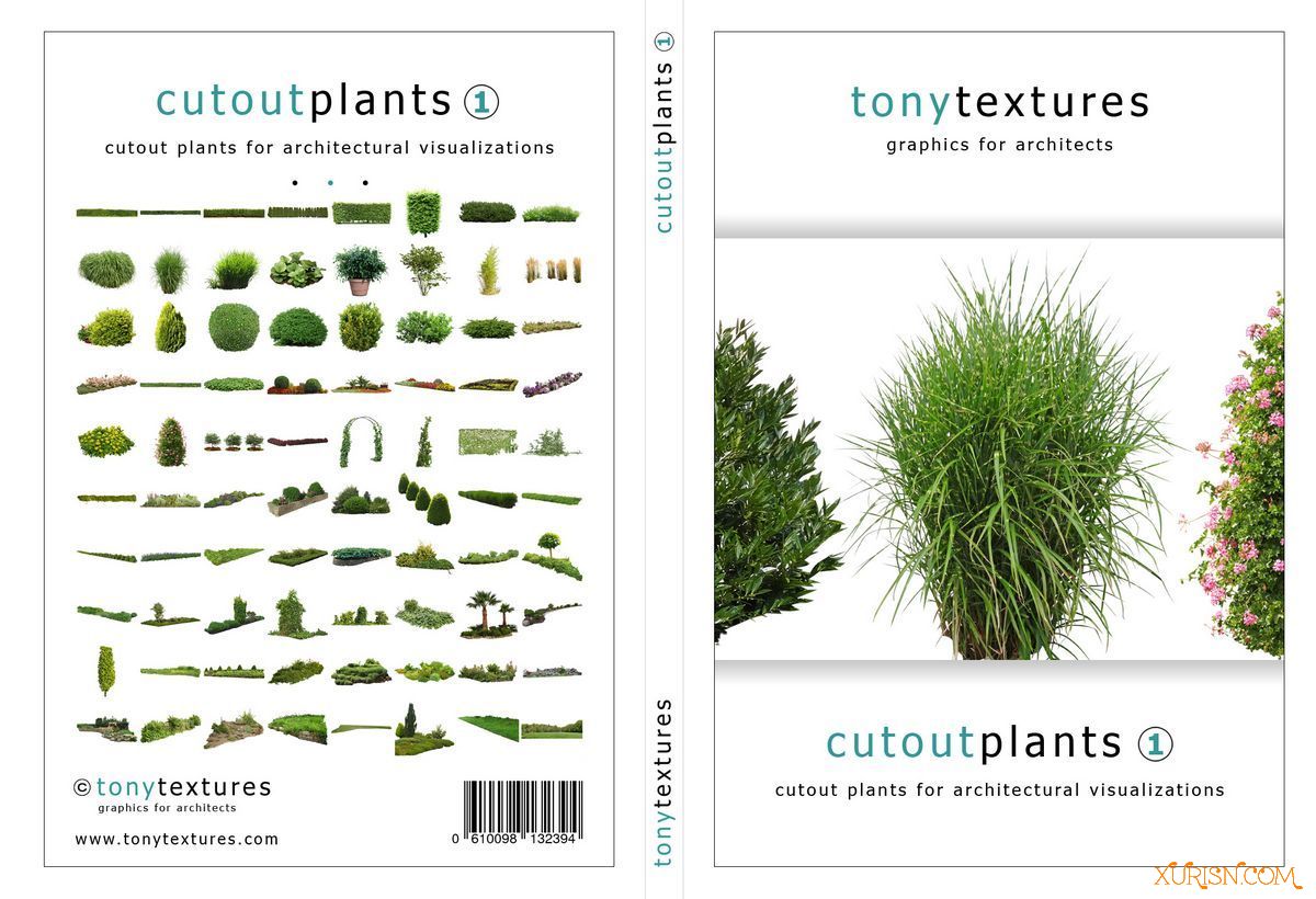 平面素材-320张高精度绿色植物树木PNG贴图素材TonyTextures – Cutout Plants(5)