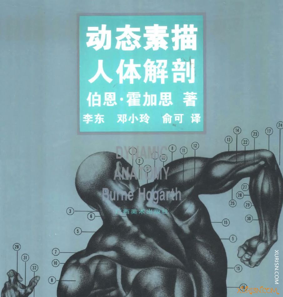 原画绘画教程-动态素描·人体解剖(1)