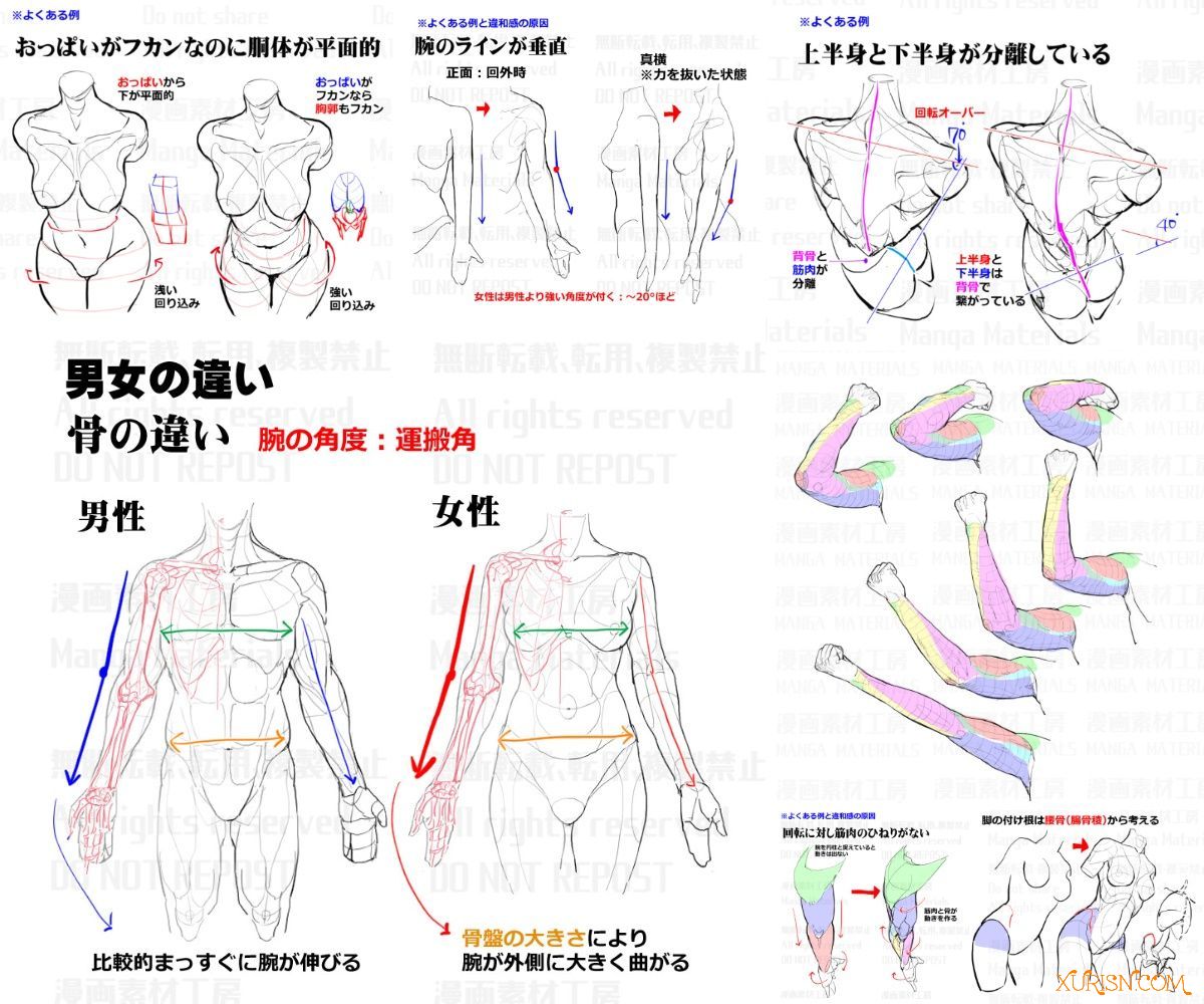 原画插画-2183张P站人体结构线稿草图，线稿，精品收藏绘画参考素材(4)