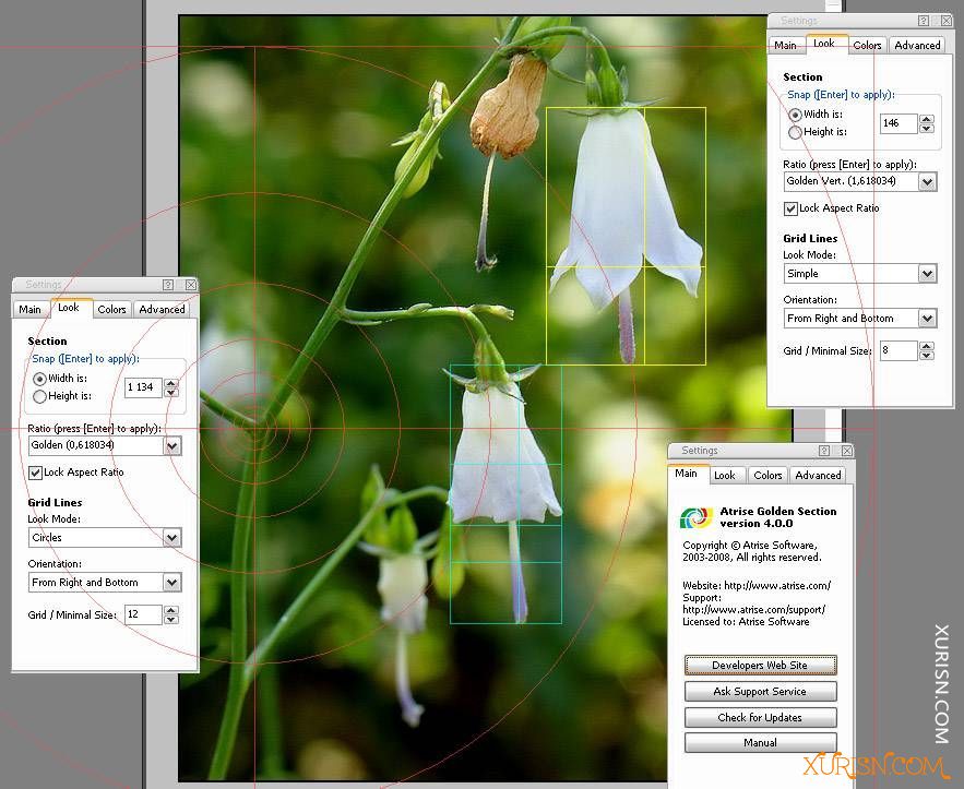 软件下载-黄金分割设计辅助软件Atrise Golden Section 5.9.0中文汉化版(4)