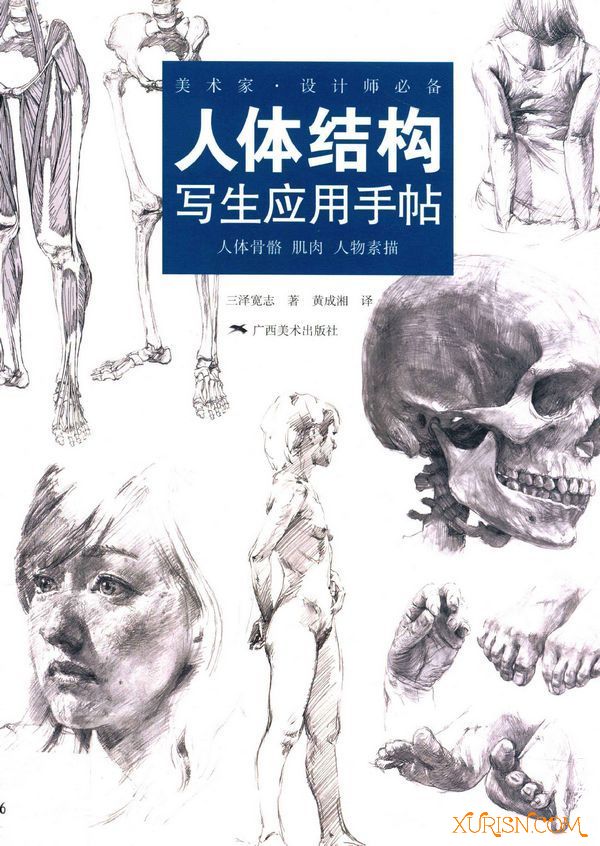 原画绘画教程-（中文版）美术家·设计师必备：人体结构写生应用手帖 PDF(3)